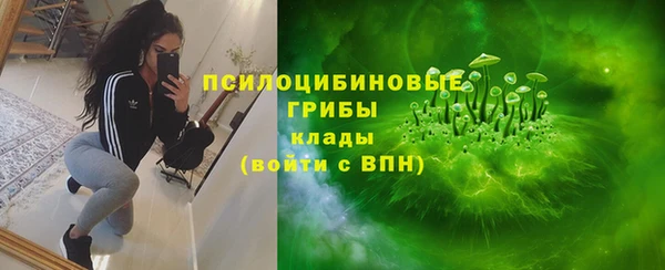спиды Гусь-Хрустальный