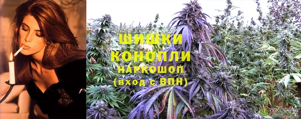 ECSTASY Гусев