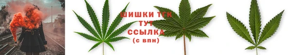 хмурый Гусиноозёрск