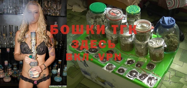 спиды Гусь-Хрустальный