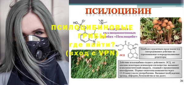 ECSTASY Гусев