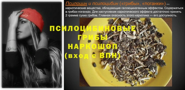 ECSTASY Гусев