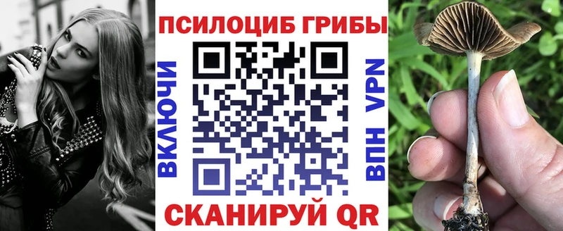 Псилоцибиновые грибы MAGIC MUSHROOMS  Купить закладки  Оха 